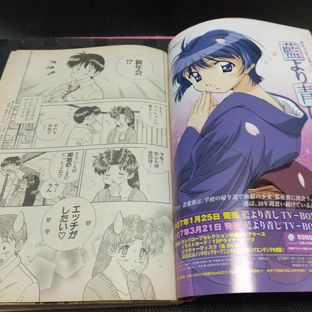 ヤングアニマル 2007年2号※ベルセルク 連載再開※折原みか 巻頭グラビア