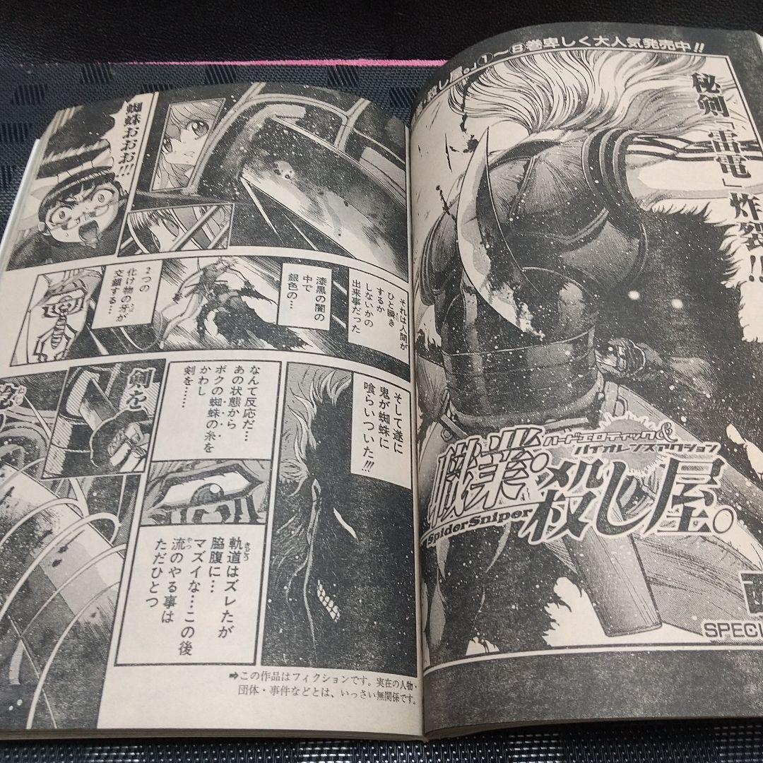 ヤングアニマル 2007年2号※ベルセルク 連載再開※折原みか 巻頭グラビア