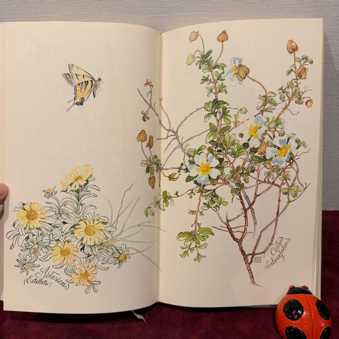 ❤️訳ありセール331①2001年フランスのロマンチック植物水彩画集　洋書古書