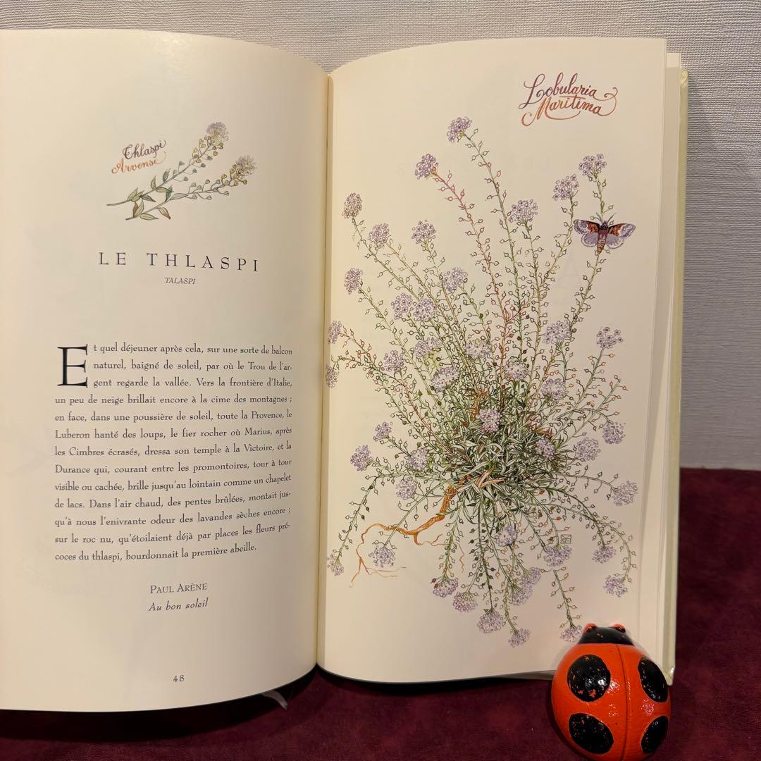 ❤️訳ありセール331①2001年フランスのロマンチック植物水彩画集　洋書古書