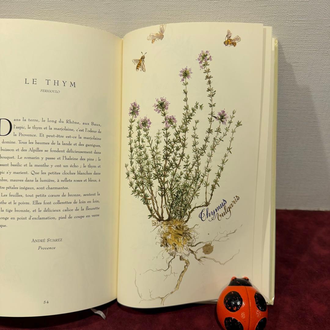 ❤️訳ありセール331①2001年フランスのロマンチック植物水彩画集　洋書古書