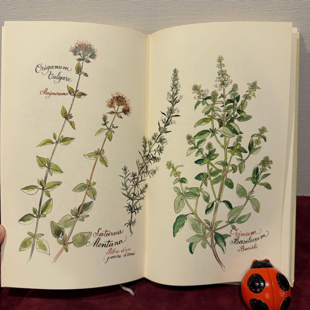 ❤️訳ありセール331①2001年フランスのロマンチック植物水彩画集　洋書古書