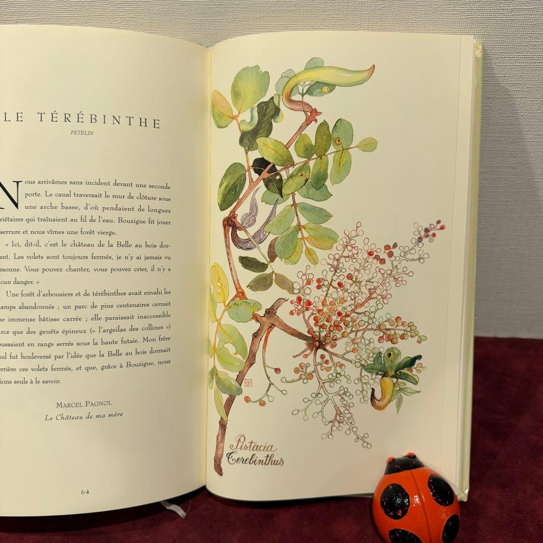 ❤️訳ありセール331①2001年フランスのロマンチック植物水彩画集　洋書古書