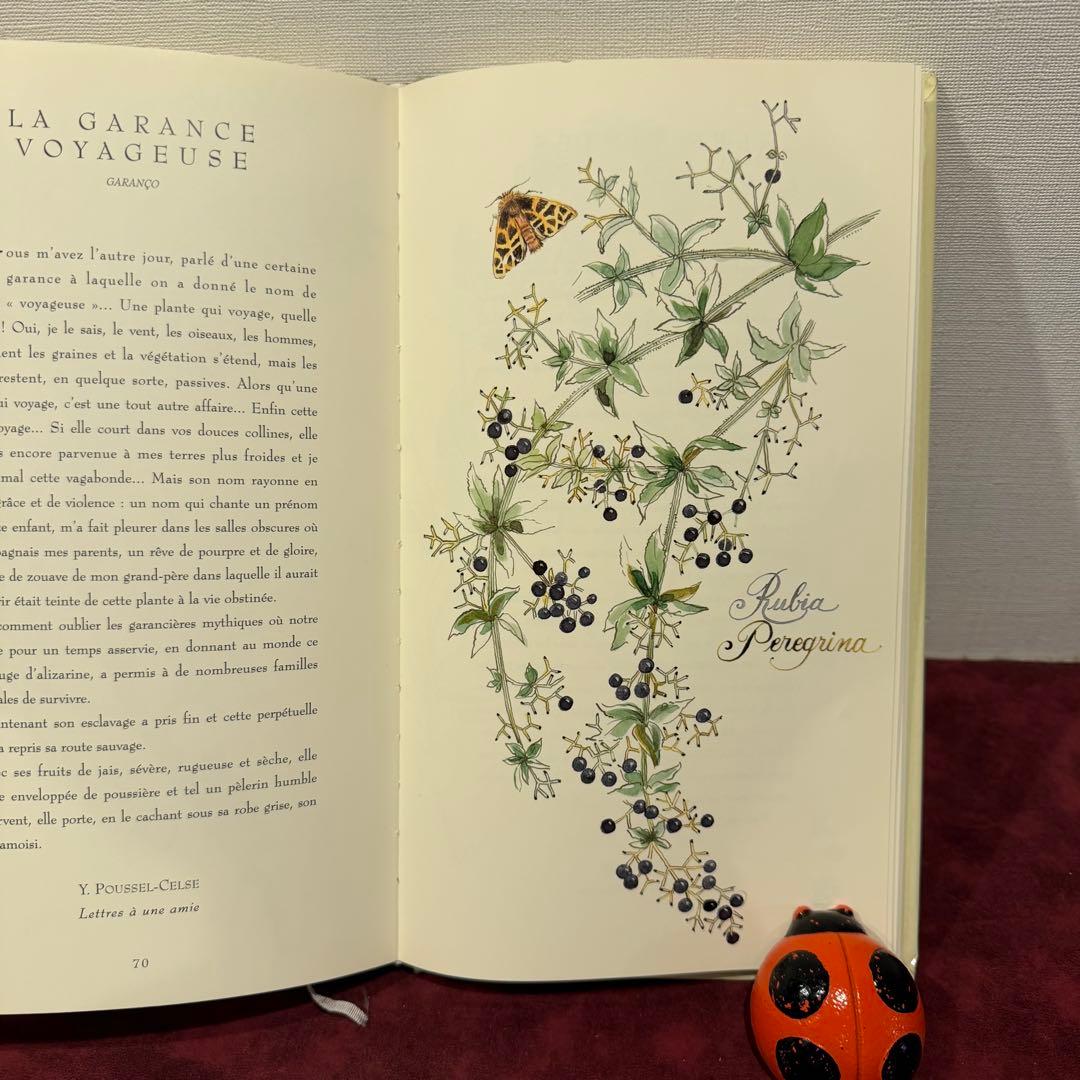 ❤️訳ありセール331①2001年フランスのロマンチック植物水彩画集　洋書古書