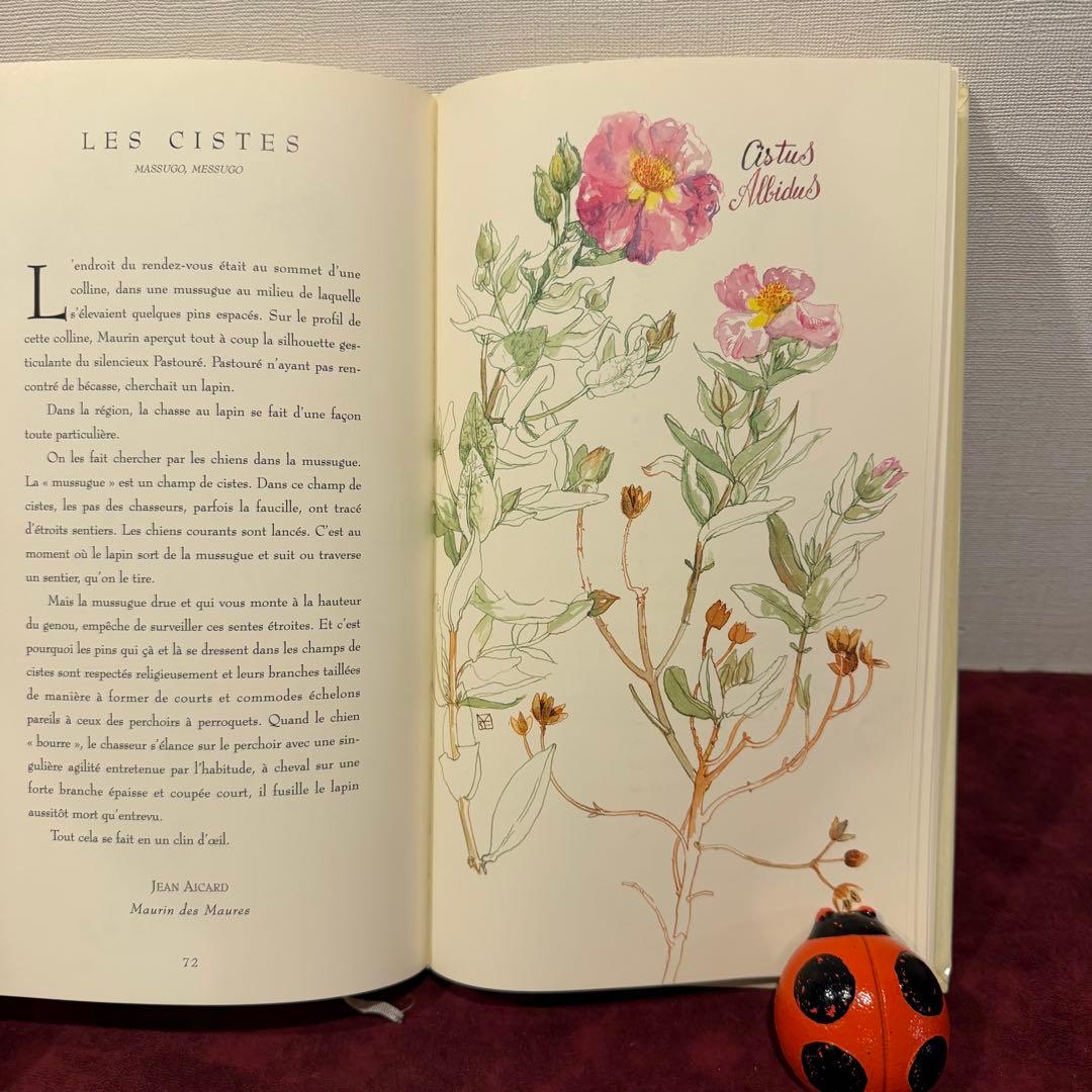❤️訳ありセール331①2001年フランスのロマンチック植物水彩画集　洋書古書