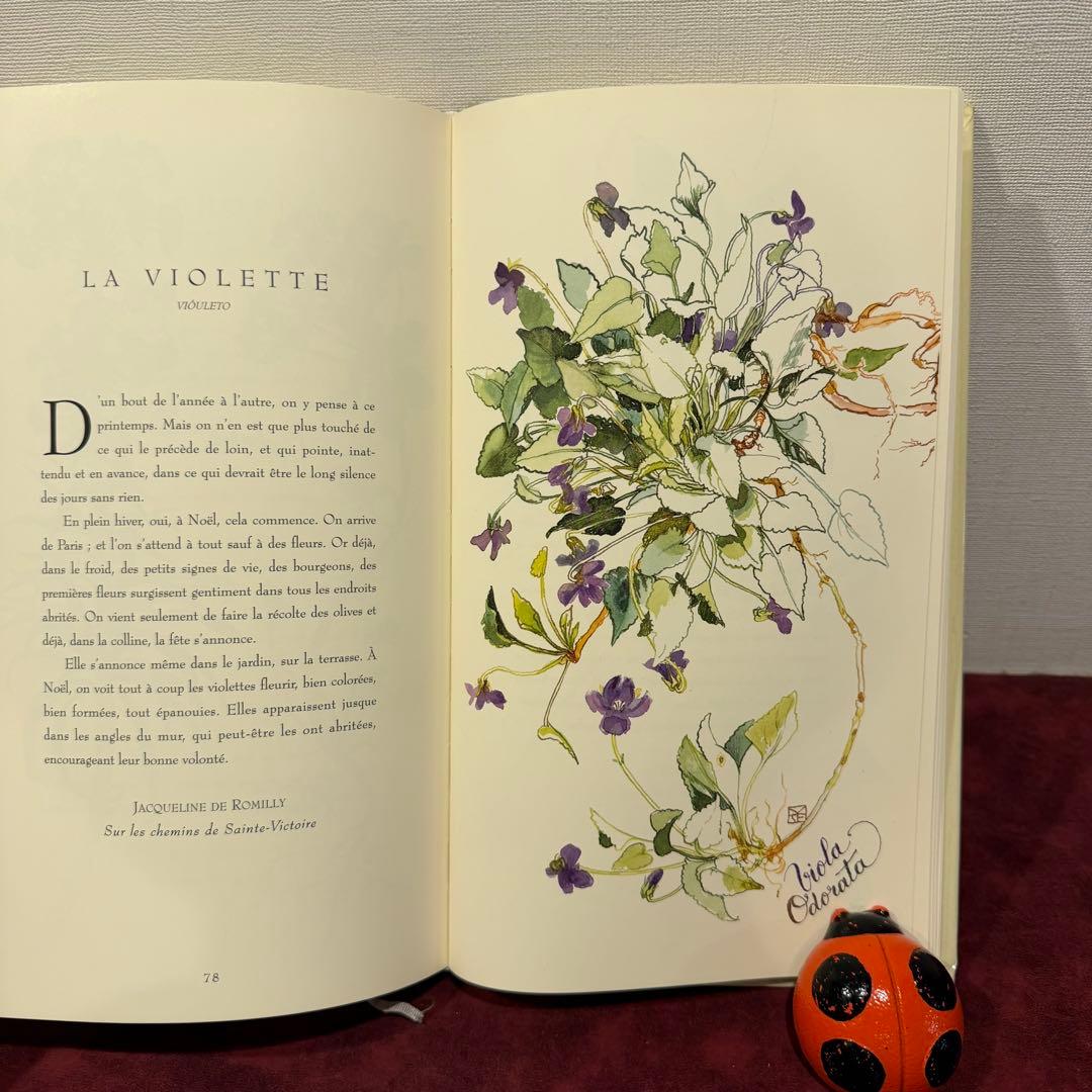 ❤️訳ありセール331①2001年フランスのロマンチック植物水彩画集　洋書古書