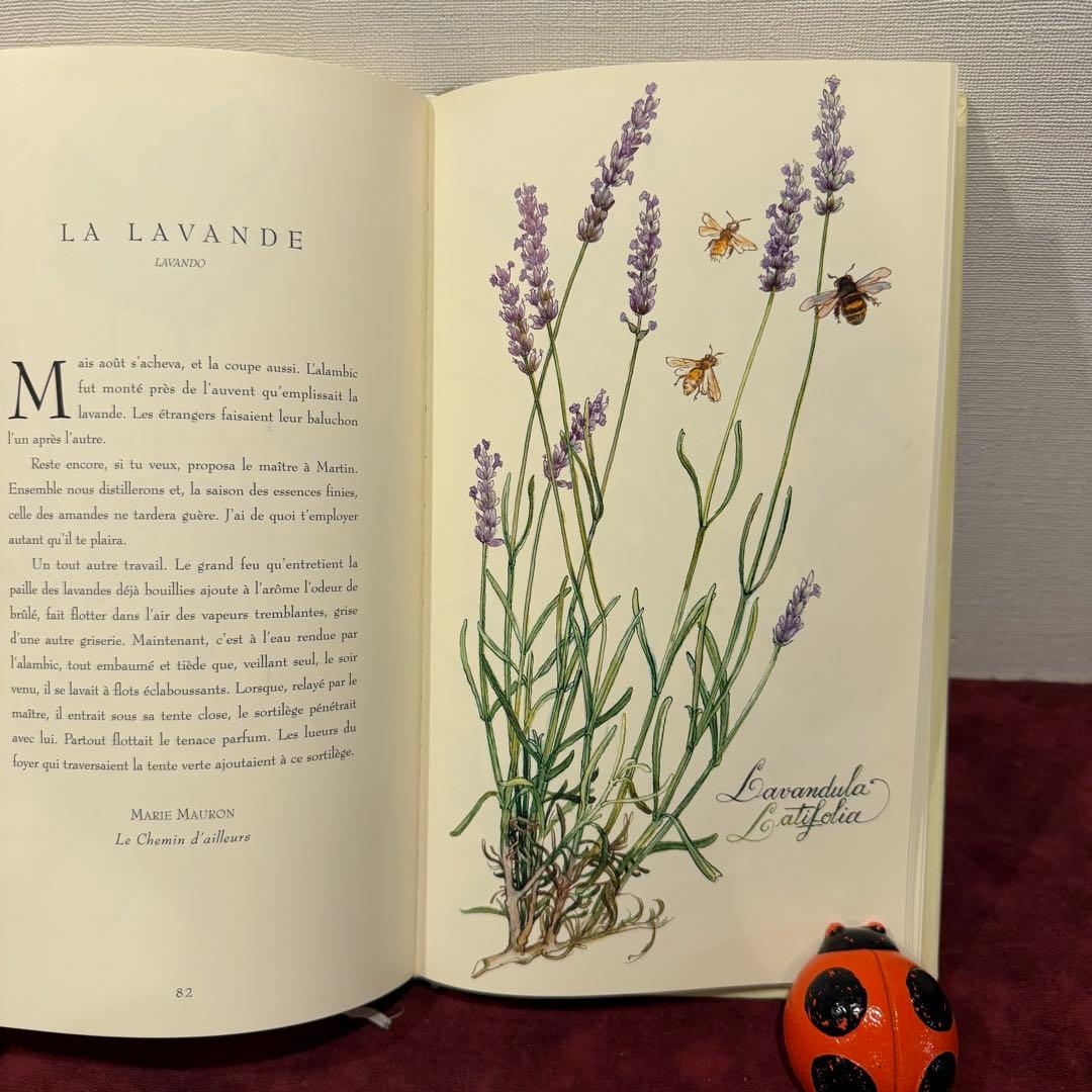 ❤️訳ありセール331①2001年フランスのロマンチック植物水彩画集　洋書古書