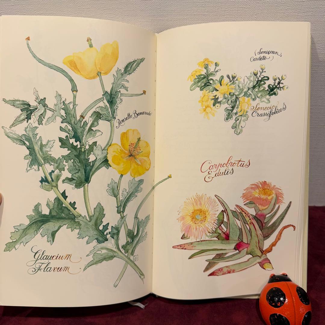 ❤️訳ありセール331①2001年フランスのロマンチック植物水彩画集　洋書古書