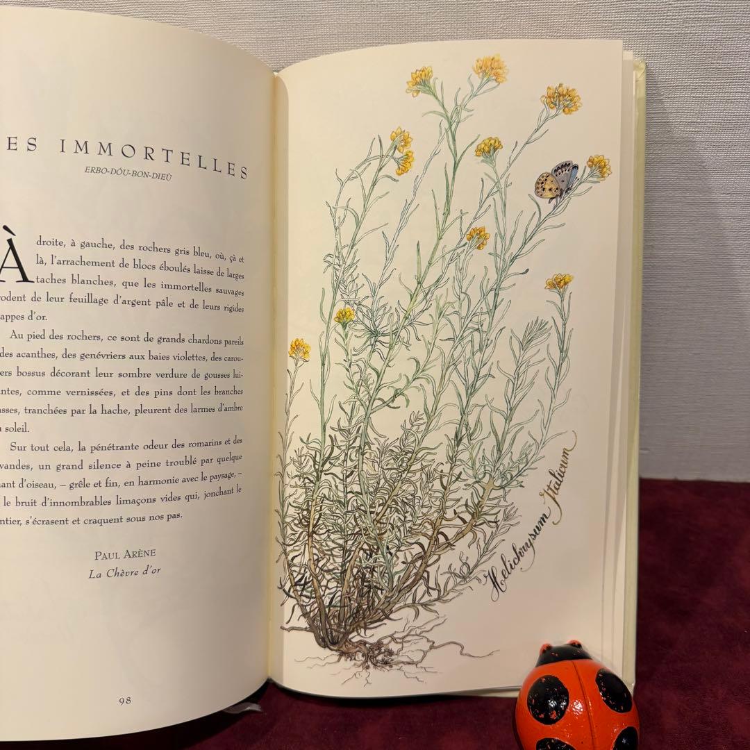 ❤️訳ありセール331①2001年フランスのロマンチック植物水彩画集　洋書古書
