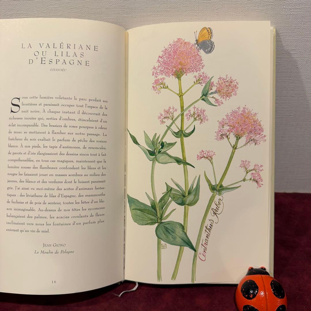 ❤️訳ありセール331①2001年フランスのロマンチック植物水彩画集　洋書古書