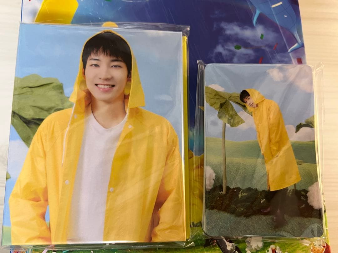ウォヌ　カラット盤　WONWOO CARAT盤　セット　SEVENTEEN