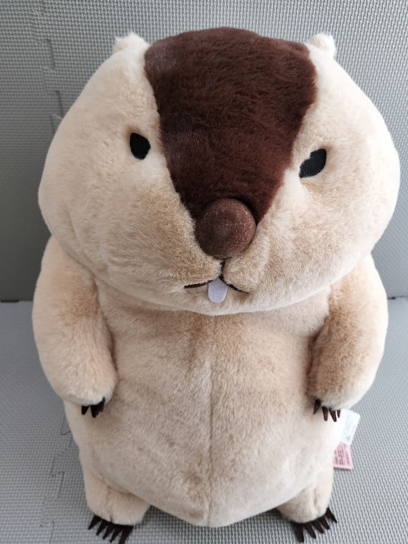 マーモットのもっとっと 超超ウルトラBIG ぬいぐるみ　タイトー限定　2種セット