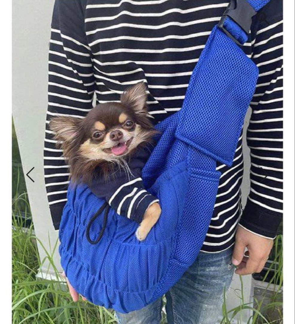 【極美品✨】AS KNOW AS DE WAN メッシュ スリング キャリー S