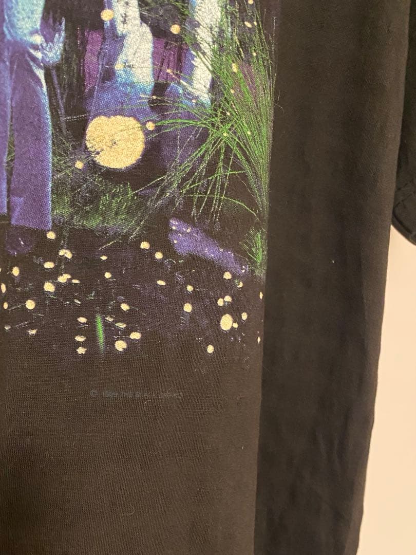 Black Crowes RockTシャツ ブラッククロウズVintage 古着