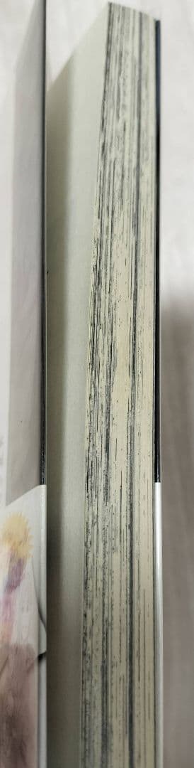 呪術廻戦 1巻 初版 帯付き