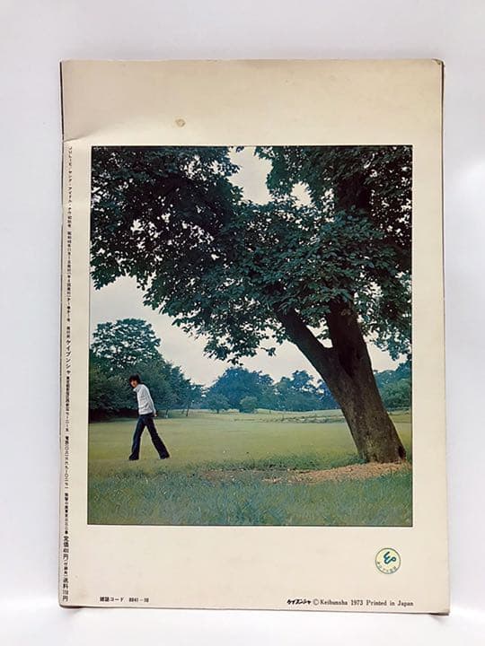 沢田研二／YOUNG IDOL NOW JULIE【雑誌】