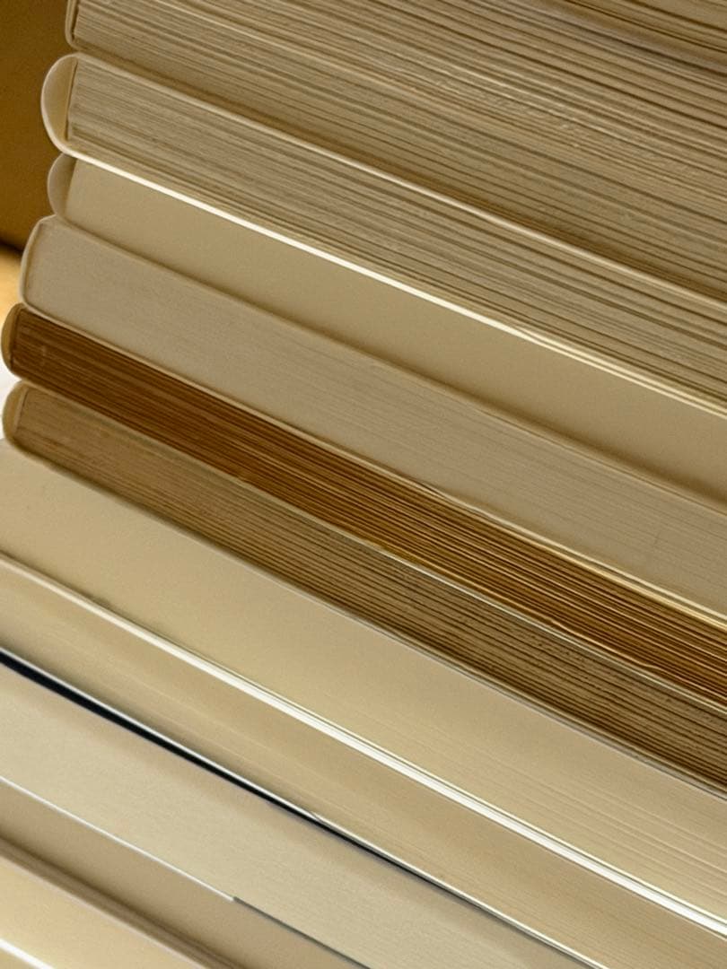【値下げ・バラ売り不可】中公新書、岩波新書、など 59冊セット まとめ売り