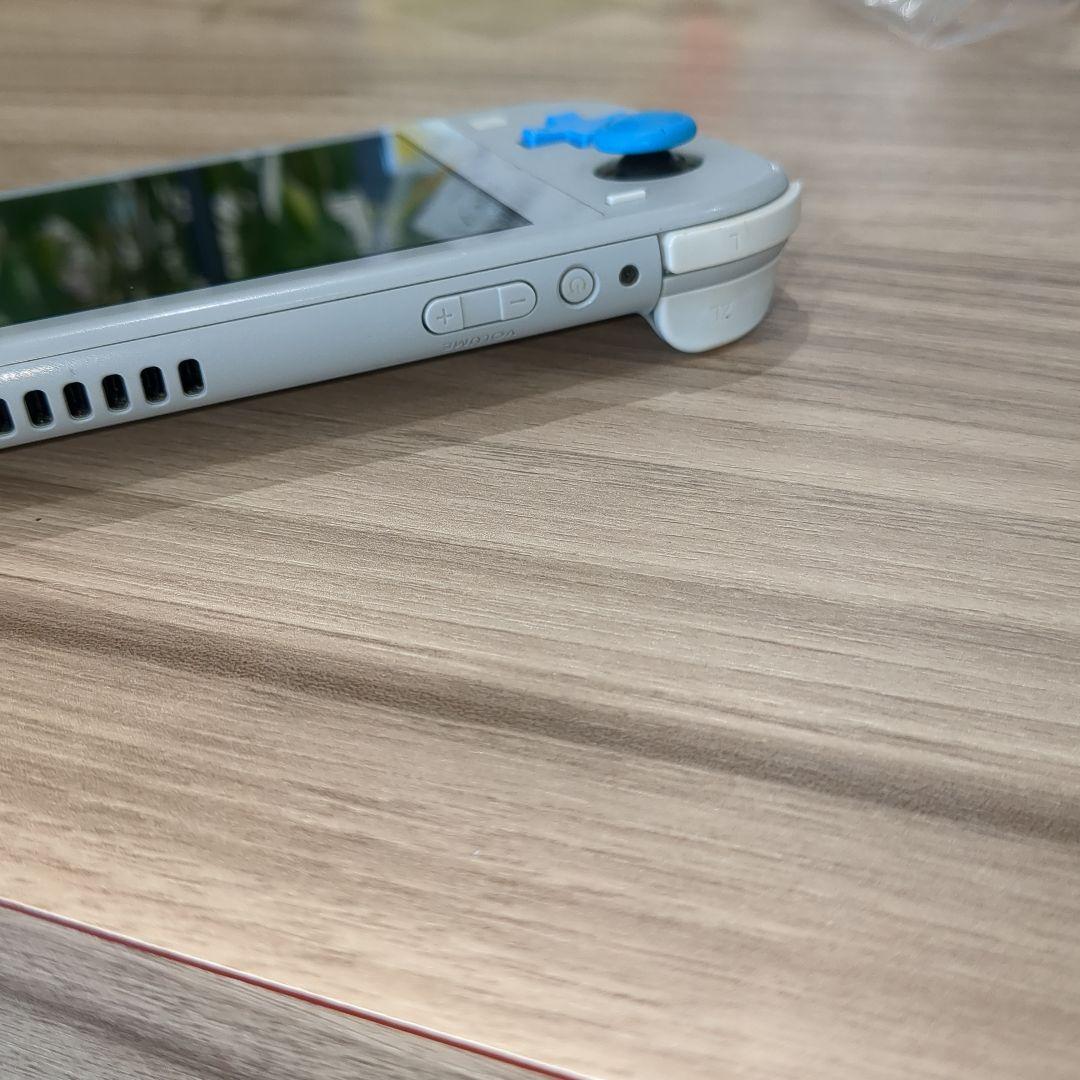 Nintendo Switch Lite ザシアン　ザマゼンタ
