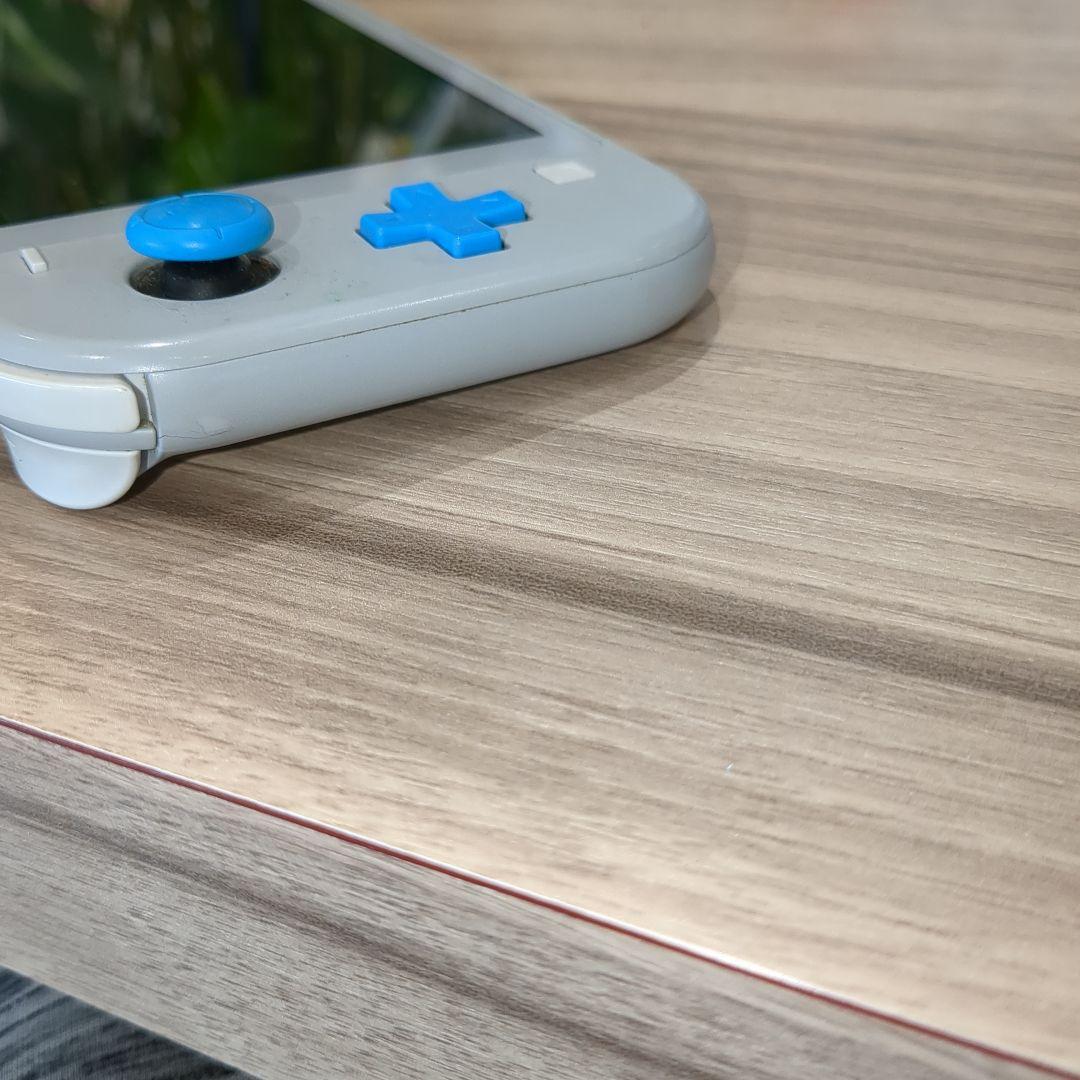 Nintendo Switch Lite ザシアン　ザマゼンタ
