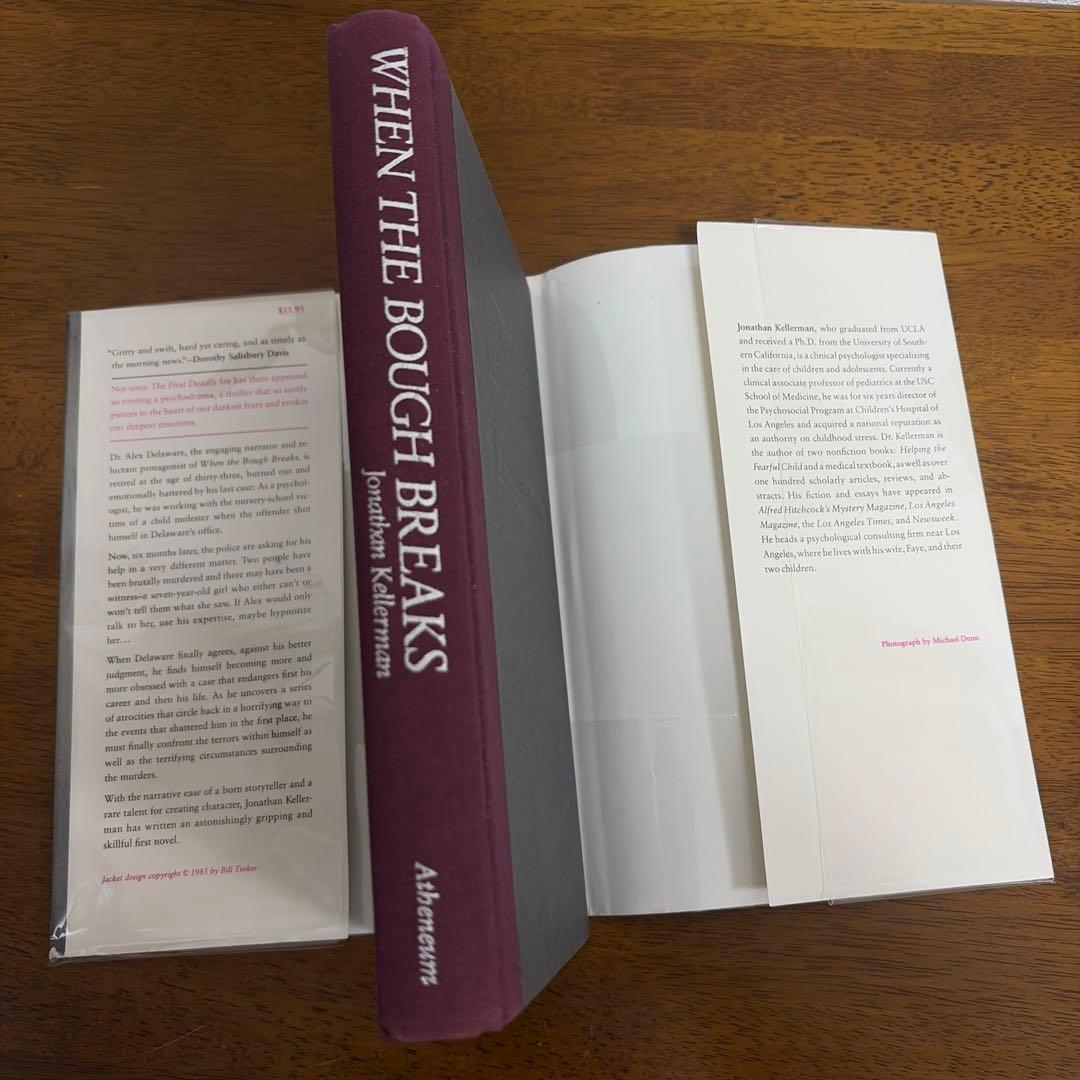 洋書 When the Bough Breaks 1st Edition 1985