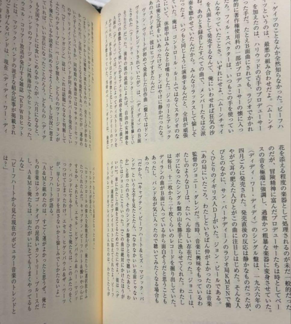 キャプテン・ビーフハート　マイク・バーンズ著　茂木健訳
