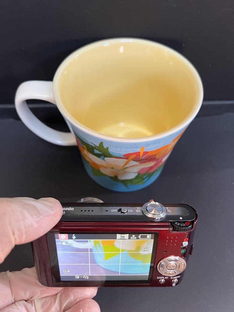 デジタルカメラ パープル Panasonic FX60 ☆動作確認済み
