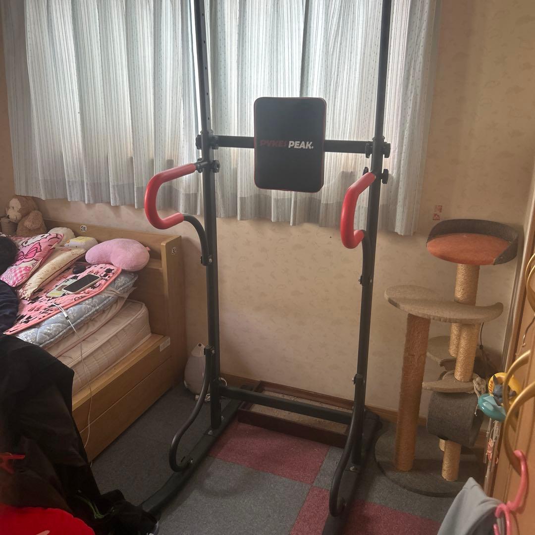 PEAK ぶら下がり健康器 黒・赤　新品未使用