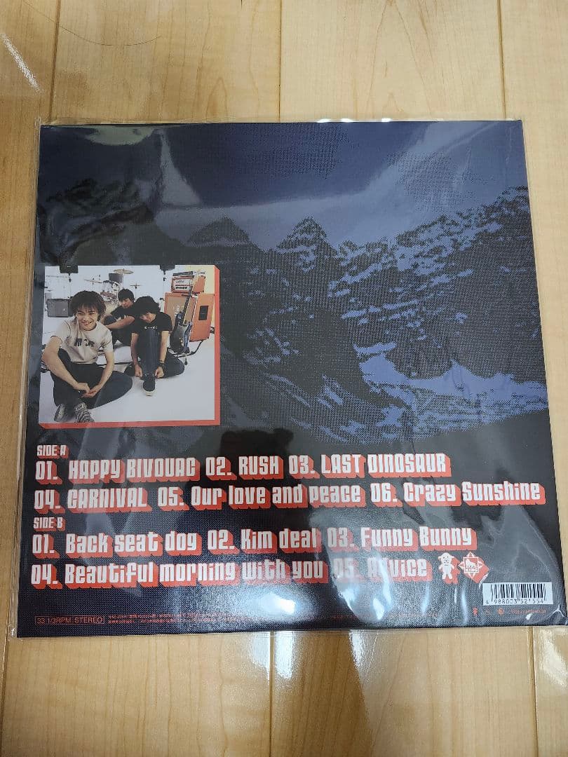 【新品】the pillows、ピロウズ/HAPPY BIVOUAC（レコード）