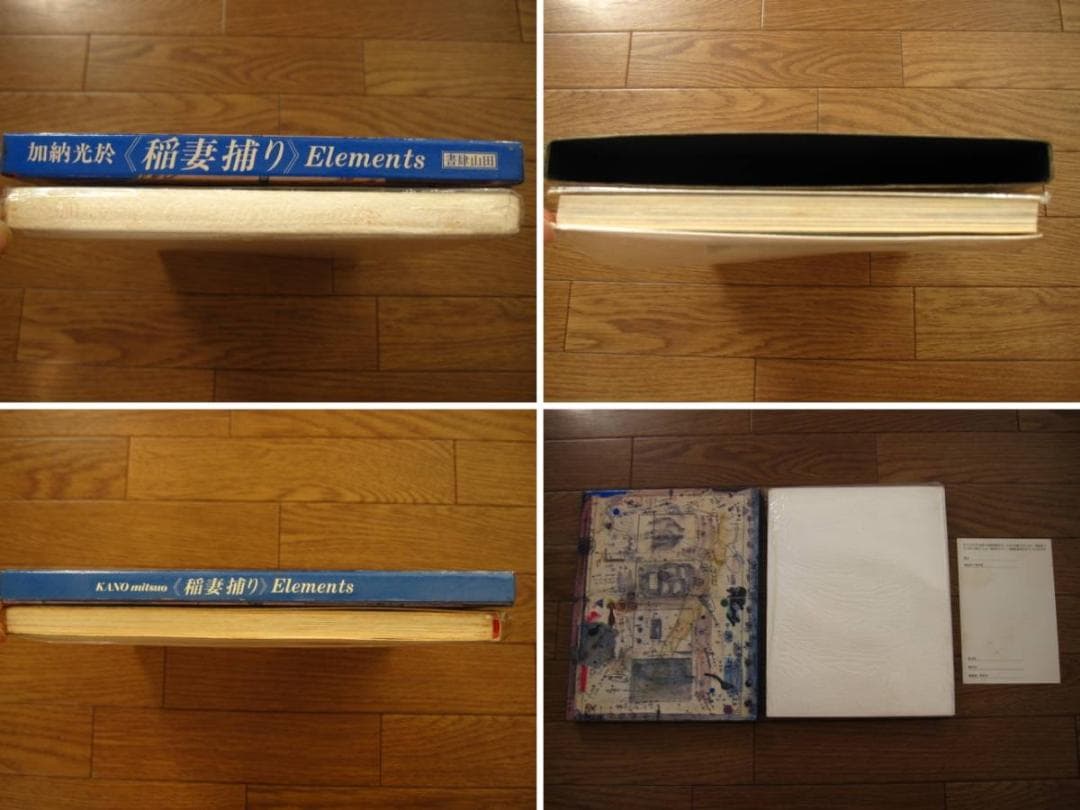 稲妻捕り Elements　加納光於　瀧口修造