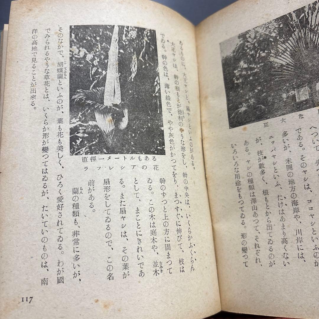初版 昭和17年『大南洋の話』偕成社少年少女文庫　折込図付き　青山二郎装丁