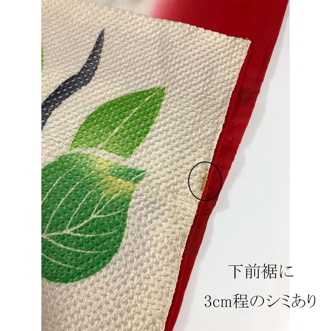 マロンちゃん♥ 希少！艶やか椿花総絞り成人式振袖単品 TH16
