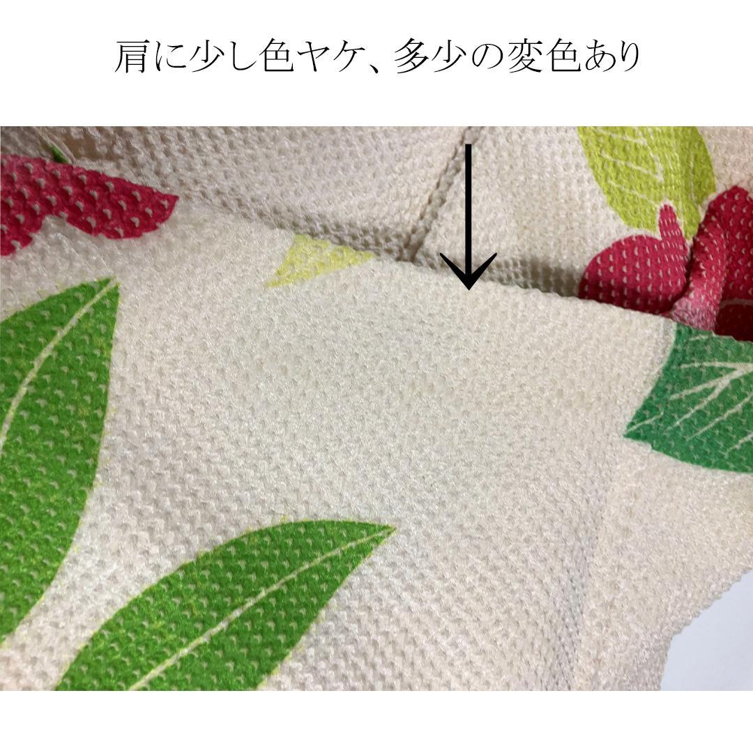 マロンちゃん♥ 希少！艶やか椿花総絞り成人式振袖単品 TH16
