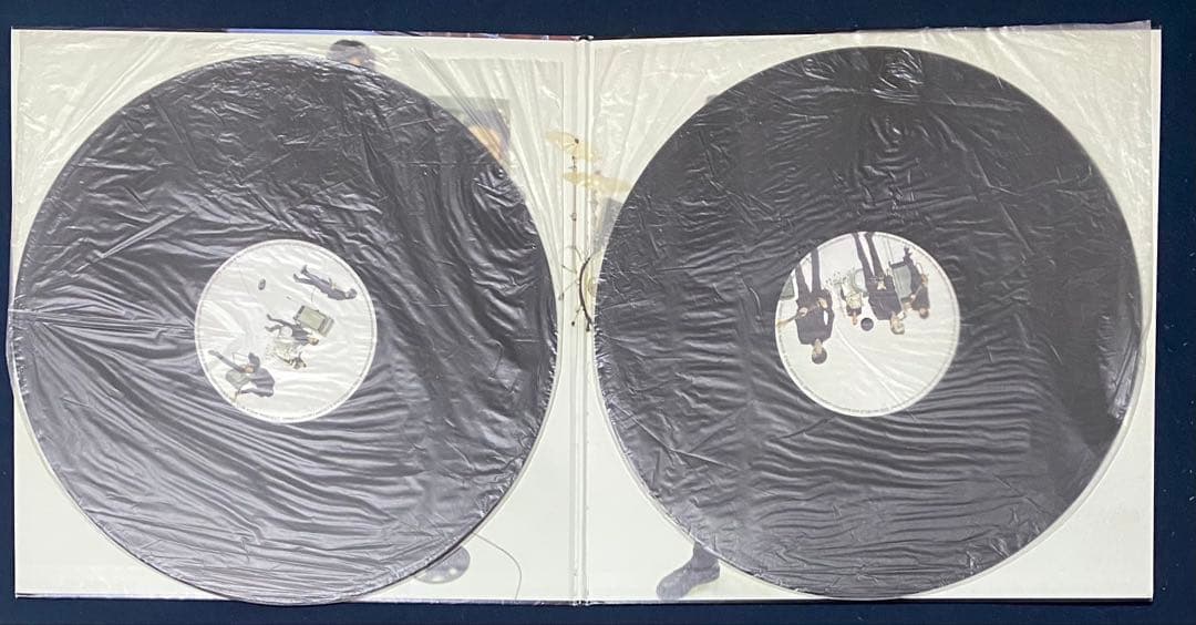 THEE MICHELLE GUN ELEPHANT カサノバ スネイク LP