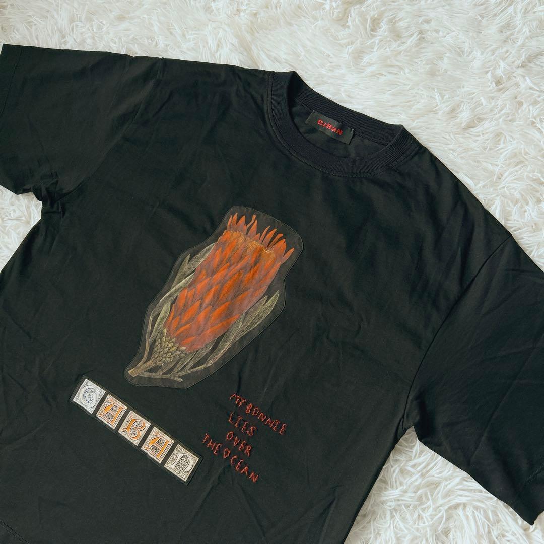 美品　キャバン　スビンコットンパレルモプリントTシャツ