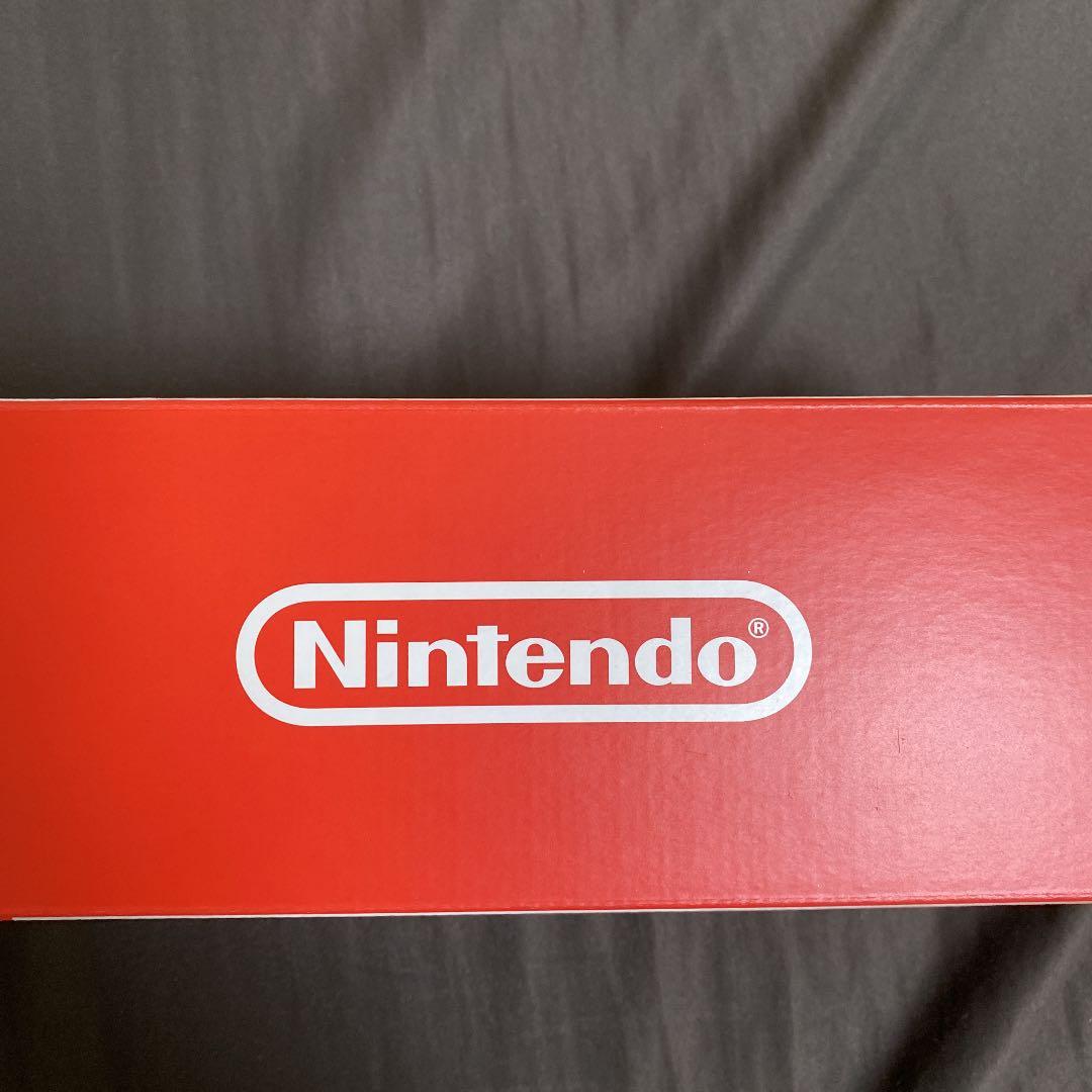 Nintendo Switch Lite 本体　コーラル　と　キャリングケース