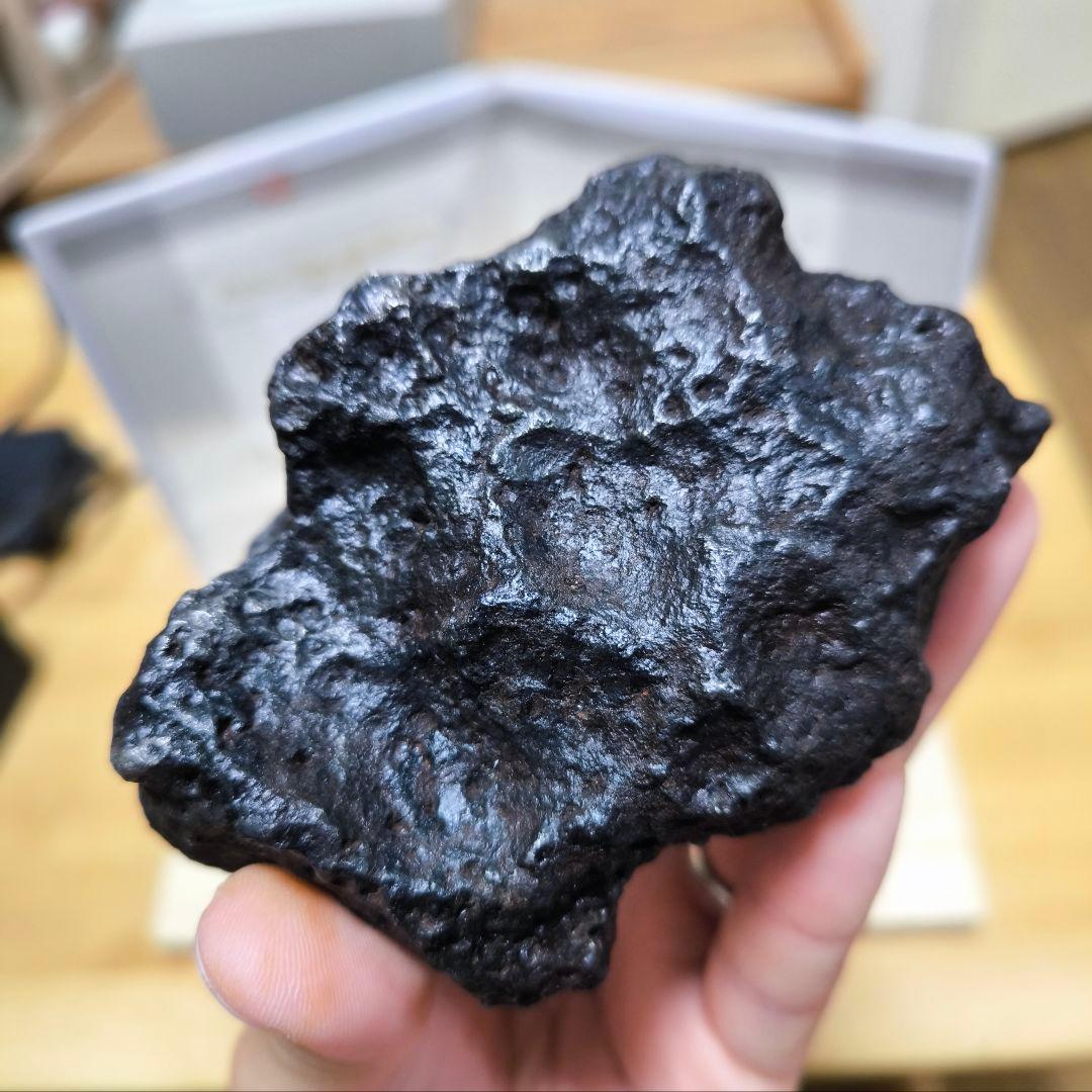 ナンタン隕石 約1.57kg 鑑別書付 極上品質 良型 鉄隕石