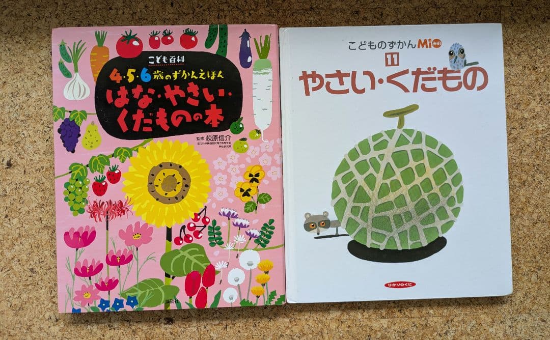 図鑑まとめ売り　お受験　小学校受験　「常識」ジャンル対策