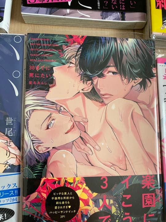 BL漫画 セット売り 作画・ストーリー重視シリーズ！セット売り