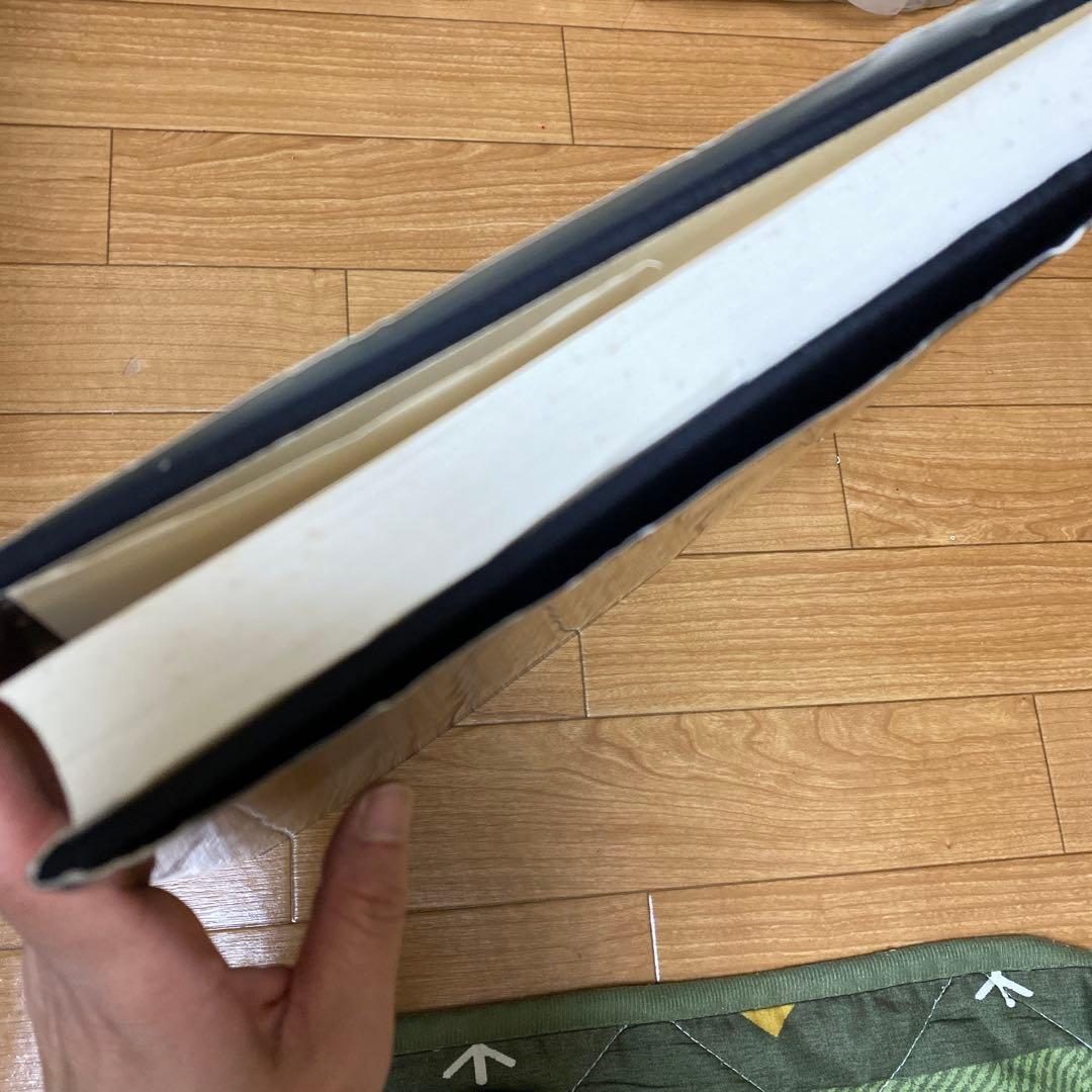 最終値下げ！ポンペイの壁画　２