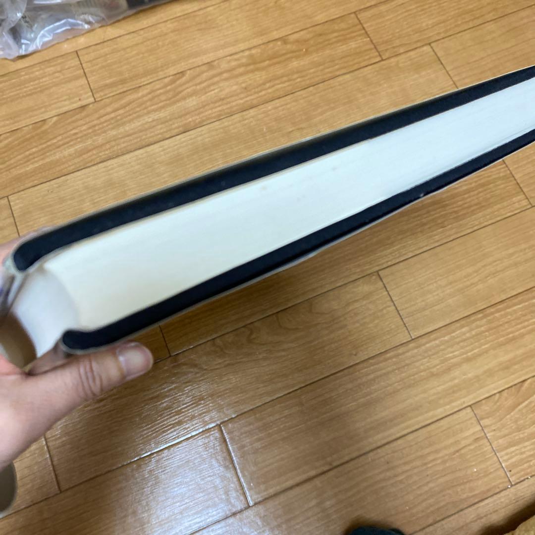 最終値下げ！ポンペイの壁画　２