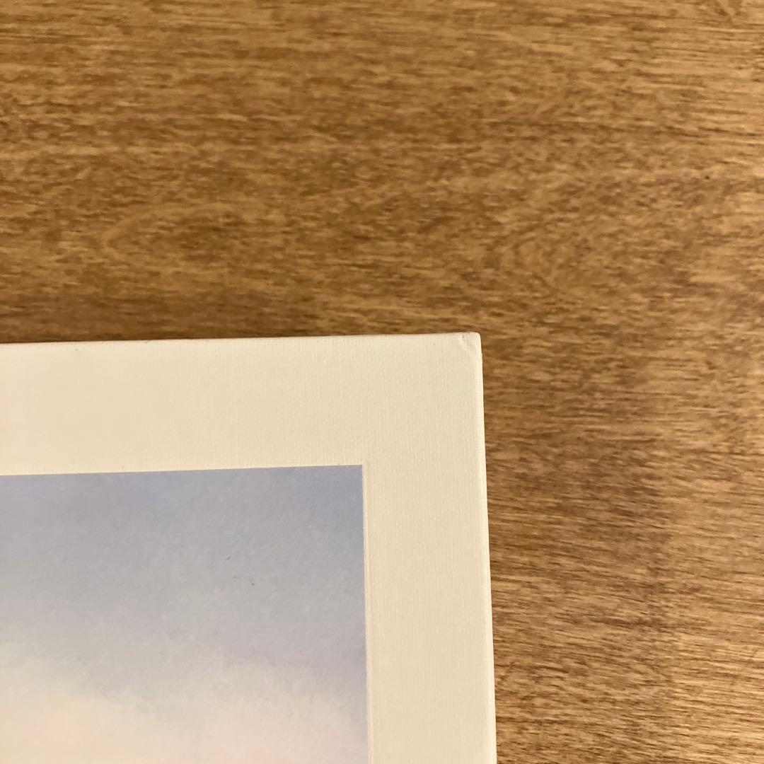 アート・デザイン・音楽 Joel Sternfeld First Pictures