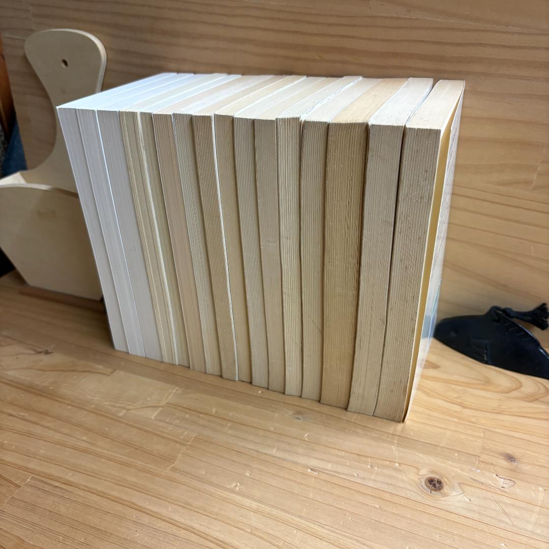 仏文 フランス語 folio 文庫 パトリック・モディアノ 著作 16冊セット