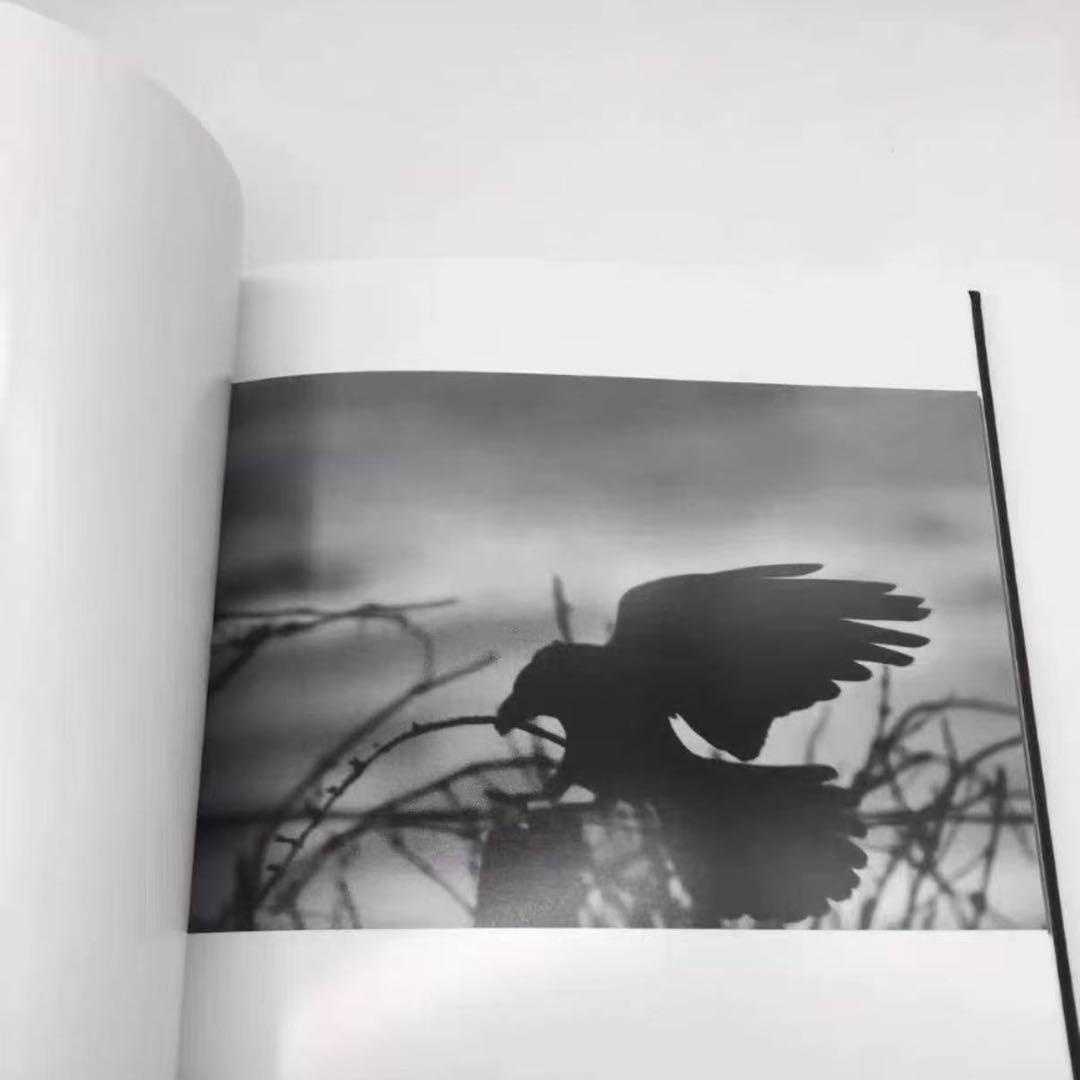 新品 未開封 深瀬昌久　鴉　Ravens MACK版