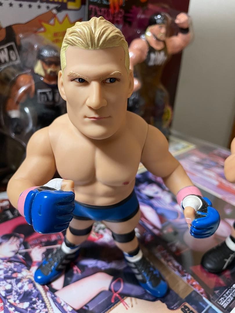 haoコレクション　ジョシュバーネット　ドンフライ　新日本プロレス　UFC