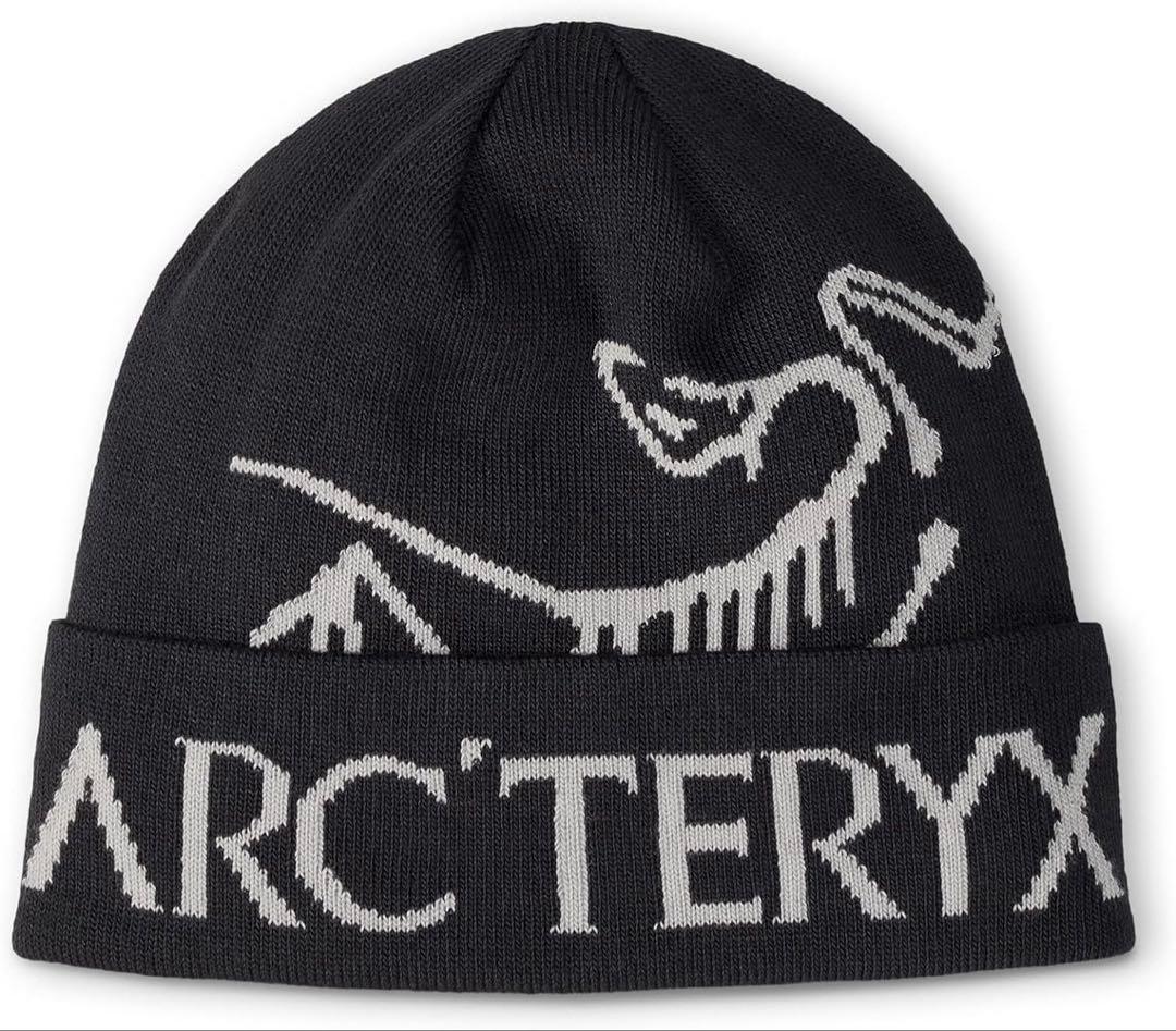 【美品】ビーニー 2点セット （arc’teryx,NOAH）かつきくん着用‼️