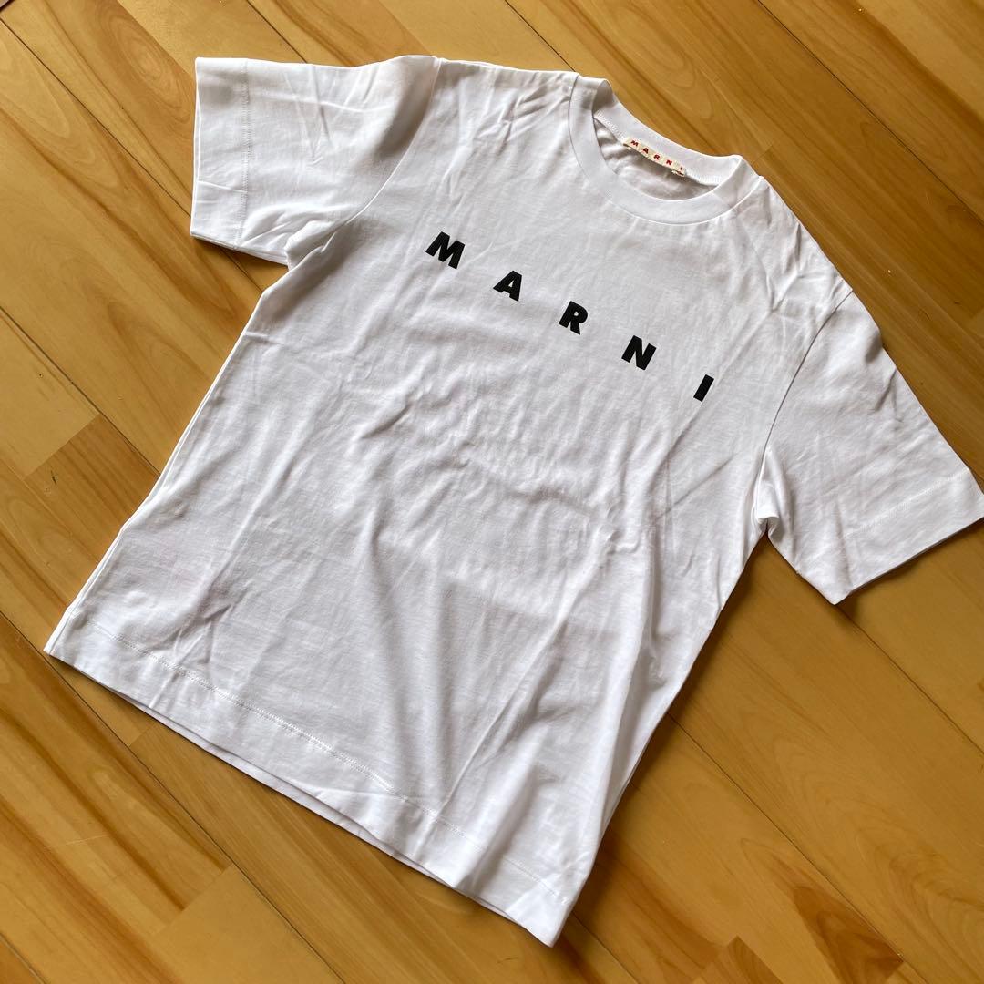 MARNI Tシャツ マルニ　ロゴ　プリント　レディース　キッズ