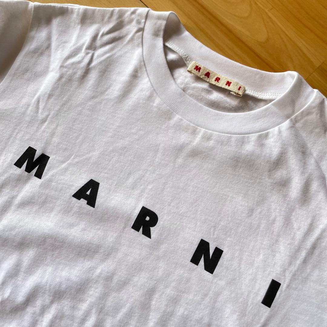 MARNI Tシャツ マルニ　ロゴ　プリント　レディース　キッズ