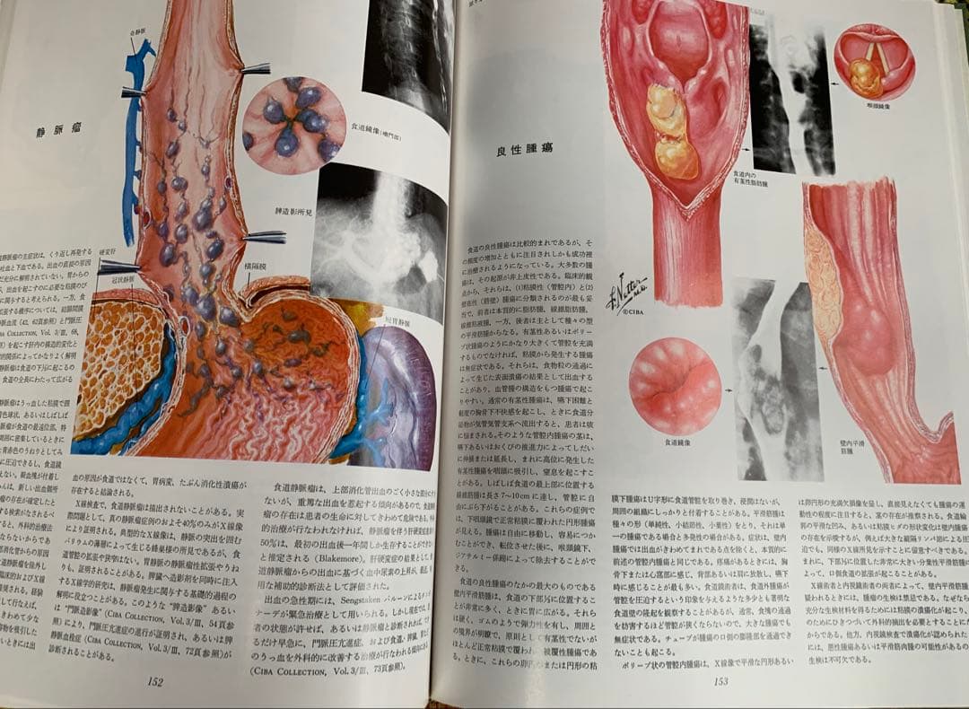 ⭐︎医学生理図譜集 消化器編 (I) & (II)⭐︎