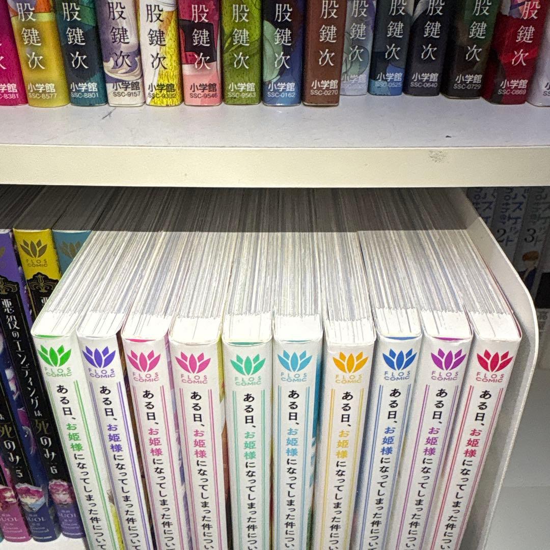 ある日、姫君になってしまった件について1〜10巻