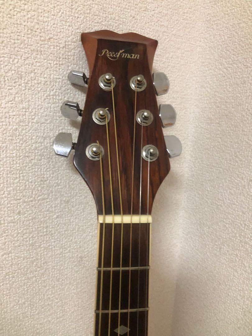 ReedMan RM-401 エレアコ　リードマン
